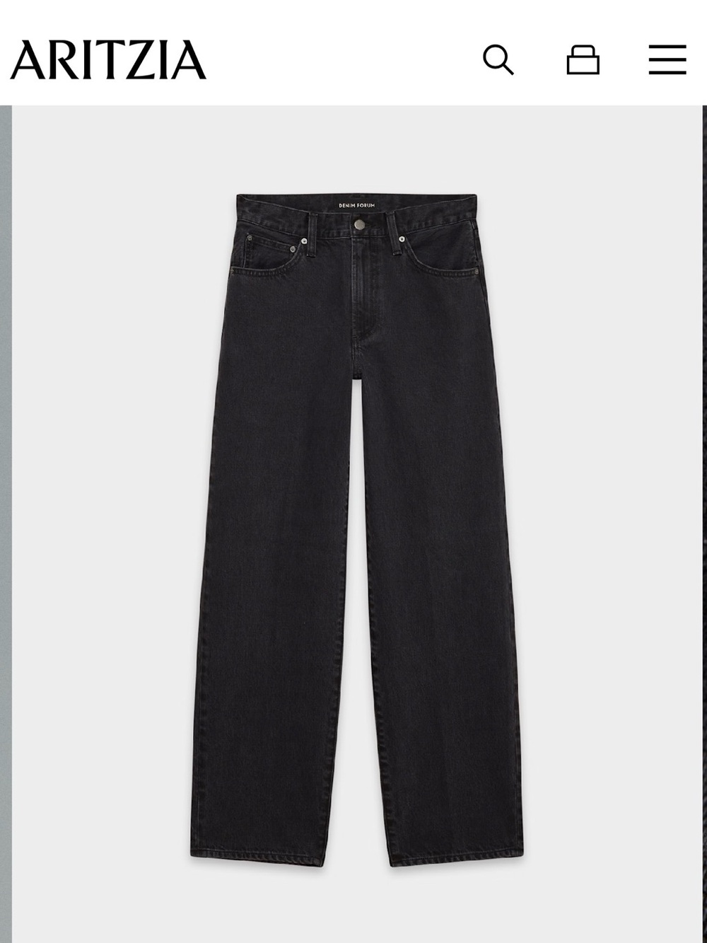 ARITZIA high rise 90s Marlo baggy jeans